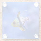 Dessous-de-verre En Verre Cardinalfish de pyjama (Dos)