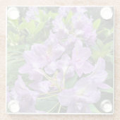 Dessous-de-verre En Verre Catawbiense Boursault Rhododendrons, Oregon (Dos)