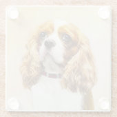 Dessous-de-verre En Verre Cavalier King Charles Spaniel Peinture originale (Dos)