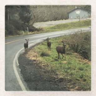 Dessous-de-verre En Verre Cerf sur la route, Cap Déception, WA