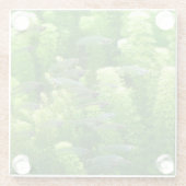 Dessous-de-verre En Verre Chalet de poisson d'argent transparent (Dos)