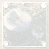 Dessous-de-verre En Verre Champignons, Oregon (Dos)