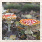 Dessous-de-verre En Verre Champignons rouges (Devant)