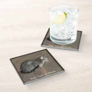 Dessous-de-verre En Verre Chat Tabby Gris Fumé