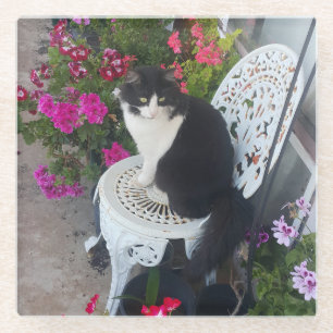 Dessous-de-verre En Verre Chat Tuxedo Mignon avec de Jolis Fleurs Chats Noir