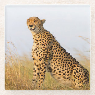 Dessous-de-verre En Verre Cheetah