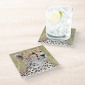 Dessous-de-verre En Verre Cheetah (Incliné)