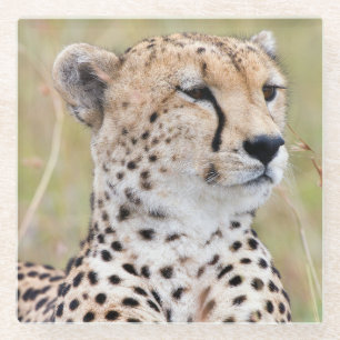 Dessous-de-verre En Verre Cheetah