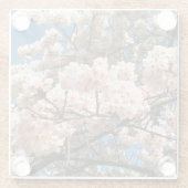 Dessous-de-verre En Verre Cherry Tree in Bloom, Oregon (Dos)