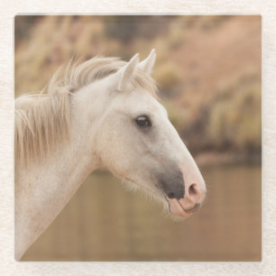 Dessous-de-verre En Verre Cheval blanc