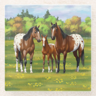 Dessous-de-verre En Verre Chevaux Appaloosa De Baie Brown En Pâturage D'Été