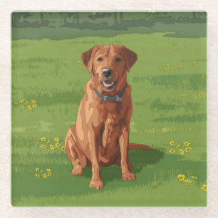 Dessous-de-verre En Verre Chien du Labrador jaune rouge renard