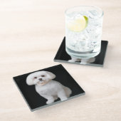 Dessous-de-verre En Verre Chien maltais (Incliné)