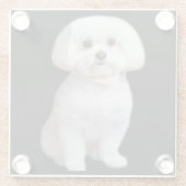 Dessous-de-verre En Verre Chien maltais (Dos)