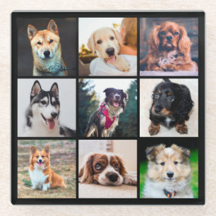 Dessous-de-verre En Verre Chiens de marionnettes Instagram Photos