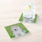 Dessous-de-verre En Verre Chiot blanc sibérien Husky sur terrain vert d'herb (Incliné)