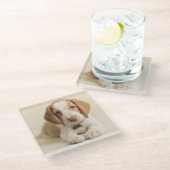 Dessous-de-verre En Verre Chiot de beagle (Incliné)