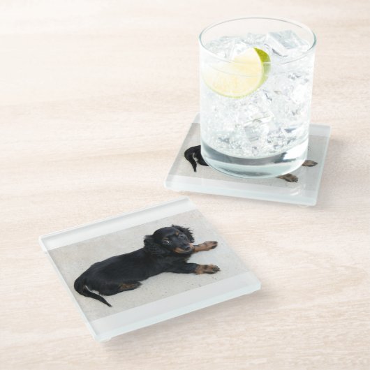 Dessous-de-verre En Verre chiot de longhair-dachshund (Incliné)