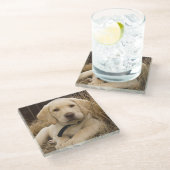 Dessous-de-verre En Verre Chiot Labrador Retriever (Incliné)