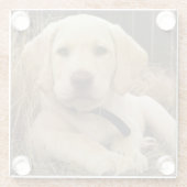 Dessous-de-verre En Verre Chiot Labrador Retriever (Dos)