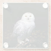 Dessous-de-verre En Verre Chouette hivernale majestueuse (Dos)