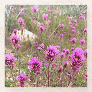 Dessous-de-verre En Verre Chouettes Fleurs de trèfle Fleurs de fleurs roses