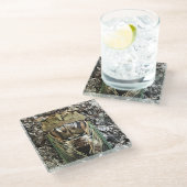 Dessous-de-verre En Verre Cicada (Incliné)
