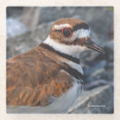 Dessous-de-verre En Verre Closeup d'un beau meurtrier (Devant)