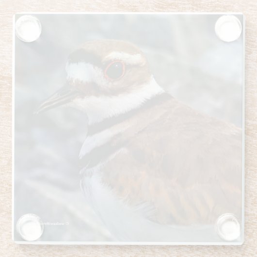 Dessous-de-verre En Verre Closeup d'un beau meurtrier (Dos)