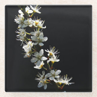 Dessous-de-verre En Verre Coastère des fleurs d'épinette