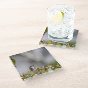 Dessous-de-verre En Verre Colibri 3346