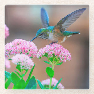 Dessous-de-verre En Verre Colibri et fleurs