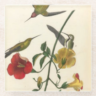 Dessous-de-verre En Verre Colibris - Dessous de verre