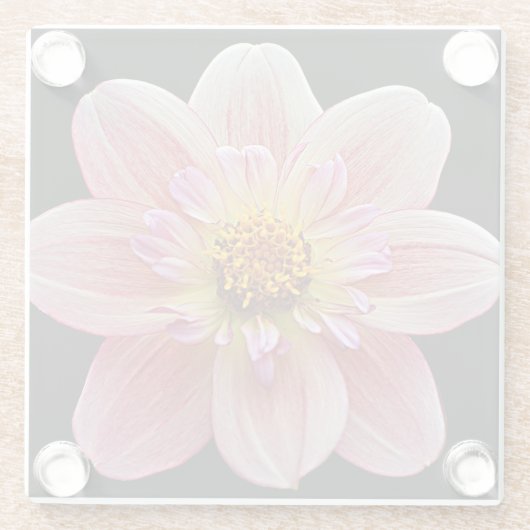 Dessous-de-verre En Verre Collarette rose Dahlia sur Floral noir (Dos)