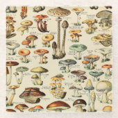 Dessous-de-verre En Verre Collection de champignons (Devant)