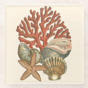 Dessous-de-verre En Verre Collection de vie marine