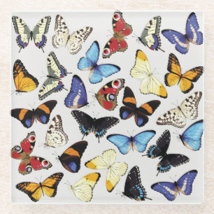 Dessous-de-verre En Verre Collection réaliste de papillons vintages.