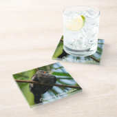 Dessous-de-verre En Verre colombe de terrain (Incliné)