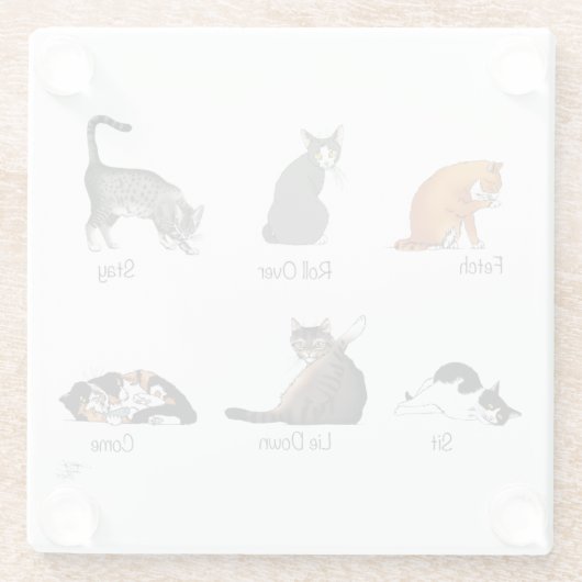 Dessous-de-verre En Verre Commandes Cat (Dos)