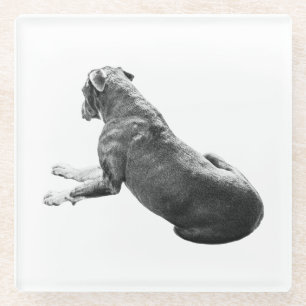 Dessous-de-verre En Verre Compagnon de table calme