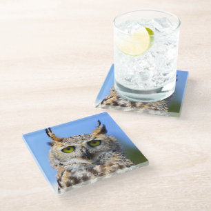 Dessous-de-verre En Verre Concours de regards fixes avec un magnifique grand