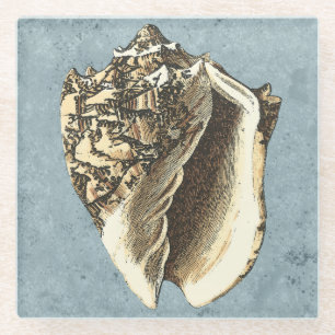 Dessous-de-verre En Verre Conque délavée Shell