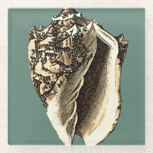 Dessous-de-verre En Verre Coque conique turquoise (Devant)