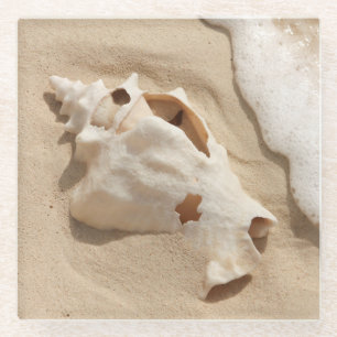 Dessous-de-verre En Verre Coquillage sur l'île des Caraïbes de Turc grand 