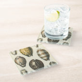 Dessous-de-verre En Verre Coquillages De Forme Unique (Incliné)