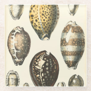 Dessous-de-verre En Verre Coquillages De Forme Unique