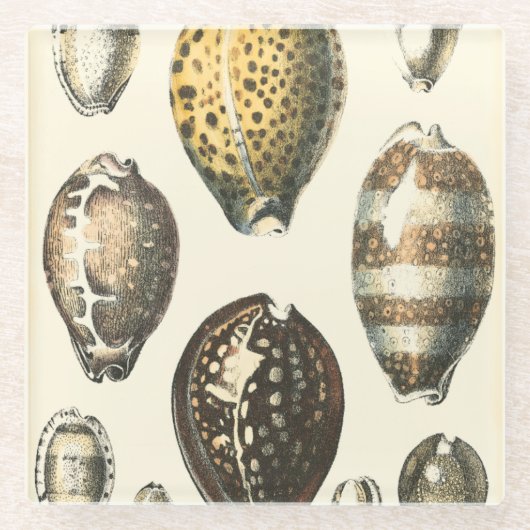 Dessous-de-verre En Verre Coquillages De Forme Unique (Devant)