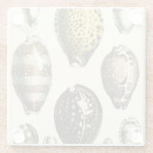 Dessous-de-verre En Verre Coquillages De Forme Unique (Dos)