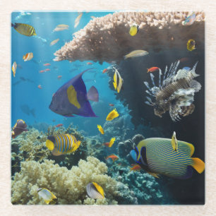 Dessous-de-verre En Verre Corail et poissons en Mer Rouge, Egypte