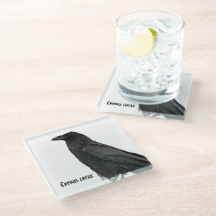Dessous-de-verre En Verre Corbeau noir avec nom scientifique